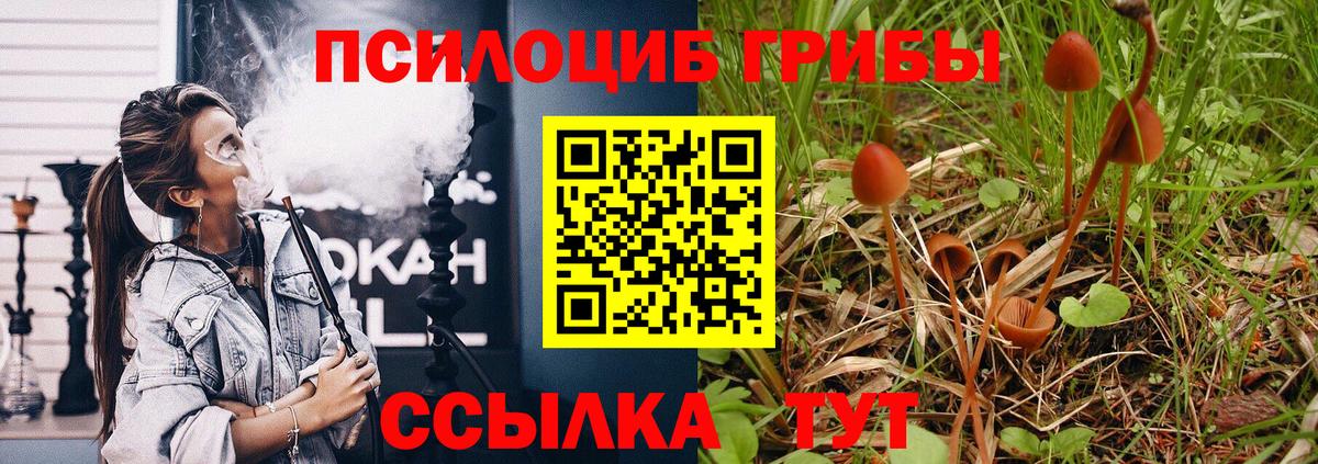 Псилоцибиновые грибы Magic Shrooms  Вход с VPN  Орёл 
